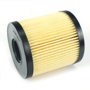 6C1Q-6744-AA Oil Filter for Ford Transit 1373069
