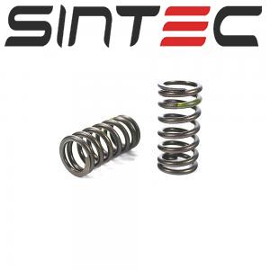1740143 BK2Q 6513 AA Engine Valve Spring for Ford Transit | SINTEC Auto Parts